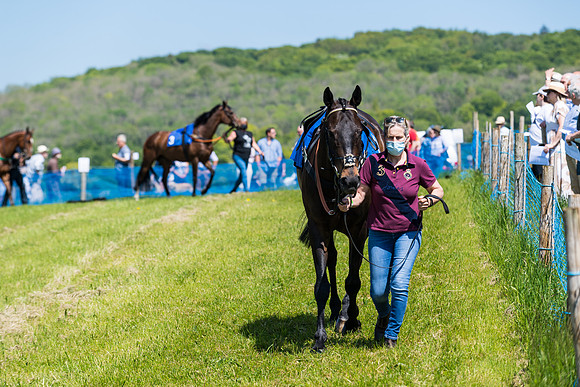 Race 1 - ORIENTAL CLUB OWNER-TRAINER CONDITIONS (19 of 144)