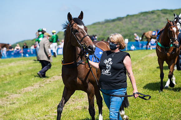 Race 1 - ORIENTAL CLUB OWNER-TRAINER CONDITIONS (22 of 144)