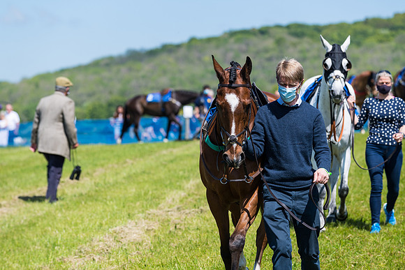 Race 1 - ORIENTAL CLUB OWNER-TRAINER CONDITIONS (24 of 144)