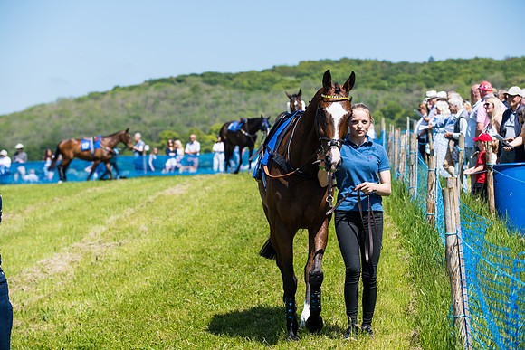 Race 1 - ORIENTAL CLUB OWNER-TRAINER CONDITIONS (28 of 144)