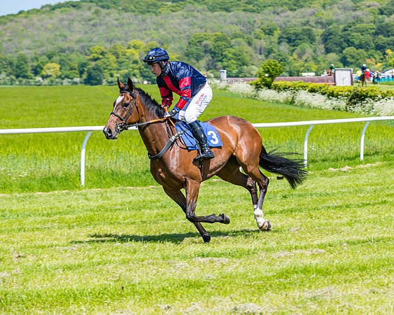 Race 1 - ORIENTAL CLUB OWNER-TRAINER CONDITIONS (30 of 144)