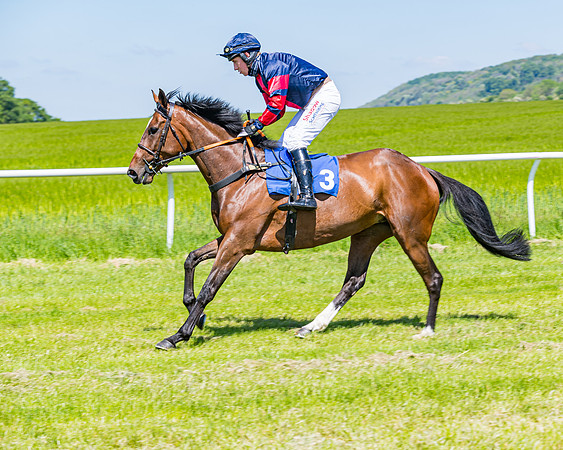 Race 1 - ORIENTAL CLUB OWNER-TRAINER CONDITIONS (31 of 144)