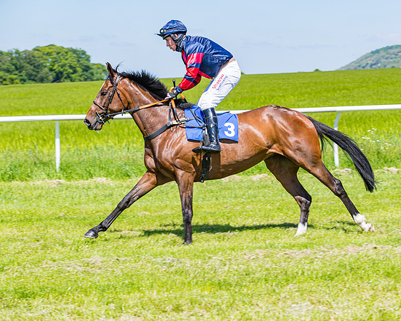 Race 1 - ORIENTAL CLUB OWNER-TRAINER CONDITIONS (32 of 144)
