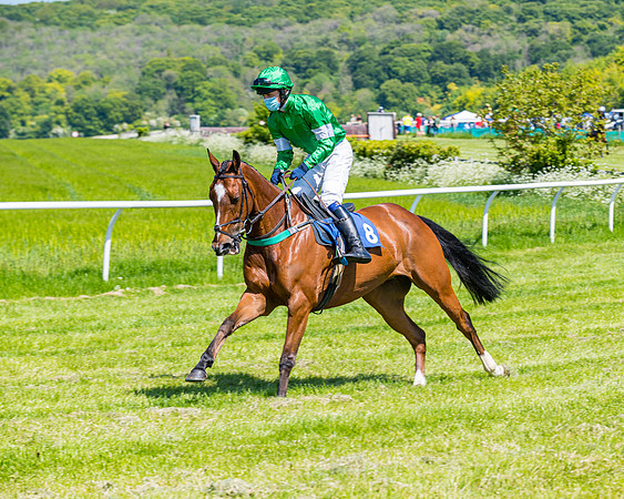Race 1 - ORIENTAL CLUB OWNER-TRAINER CONDITIONS (33 of 144)