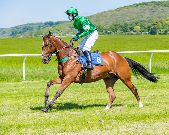 Race 1 - ORIENTAL CLUB OWNER-TRAINER CONDITIONS (34 of 144)