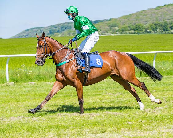 Race 1 - ORIENTAL CLUB OWNER-TRAINER CONDITIONS (35 of 144)