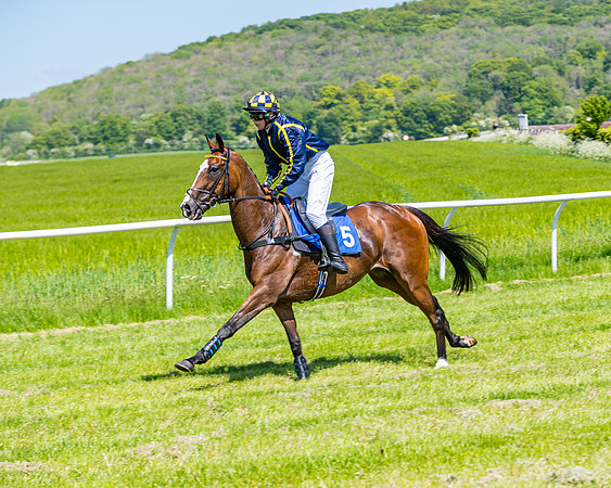 Race 1 - ORIENTAL CLUB OWNER-TRAINER CONDITIONS (36 of 144)