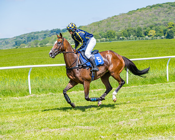 Race 1 - ORIENTAL CLUB OWNER-TRAINER CONDITIONS (37 of 144)