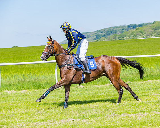 Race 1 - ORIENTAL CLUB OWNER-TRAINER CONDITIONS (38 of 144)