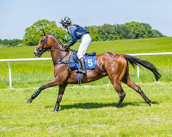 Race 1 - ORIENTAL CLUB OWNER-TRAINER CONDITIONS (39 of 144)