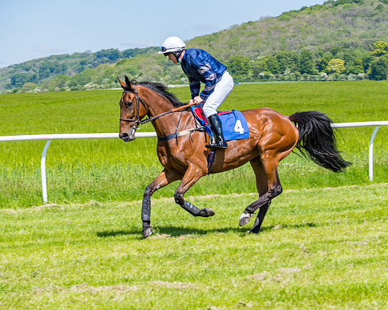 Race 1 - ORIENTAL CLUB OWNER-TRAINER CONDITIONS (40 of 144)