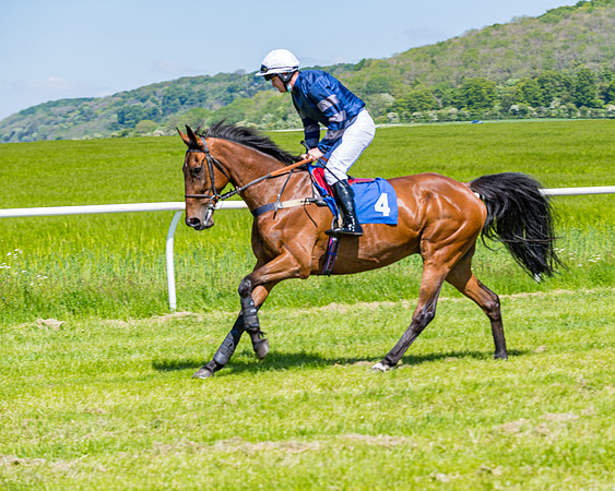 Race 1 - ORIENTAL CLUB OWNER-TRAINER CONDITIONS (41 of 144)