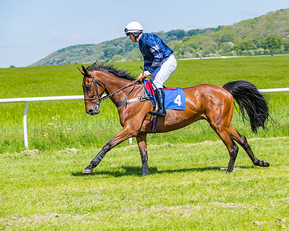 Race 1 - ORIENTAL CLUB OWNER-TRAINER CONDITIONS (42 of 144)