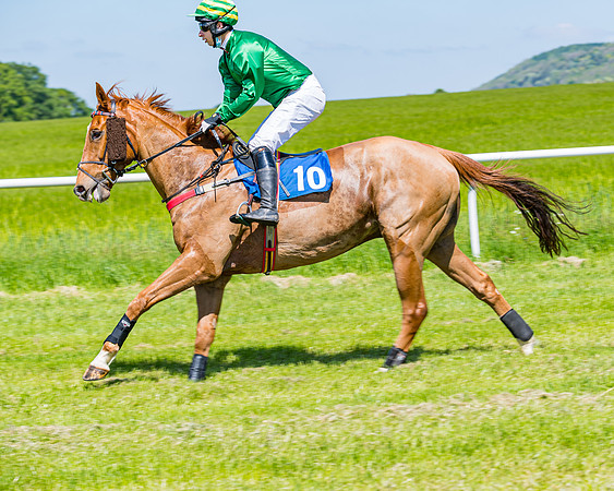 Race 1 - ORIENTAL CLUB OWNER-TRAINER CONDITIONS (43 of 144)