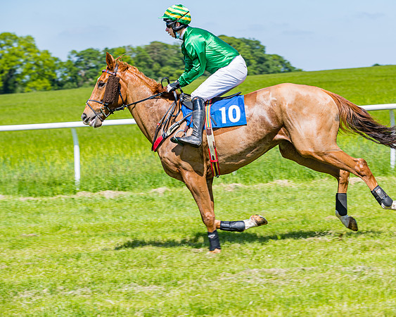 Race 1 - ORIENTAL CLUB OWNER-TRAINER CONDITIONS (45 of 144)