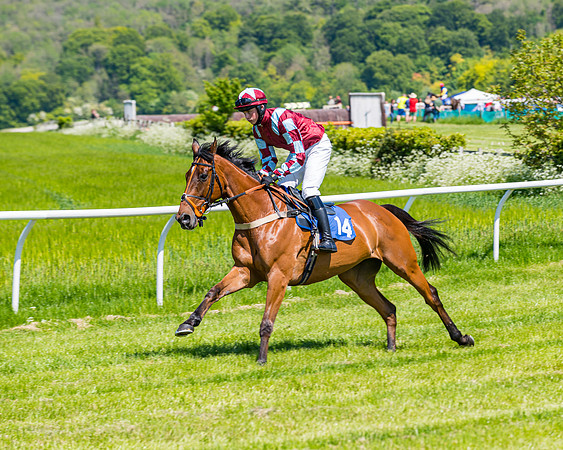 Race 1 - ORIENTAL CLUB OWNER-TRAINER CONDITIONS (46 of 144)