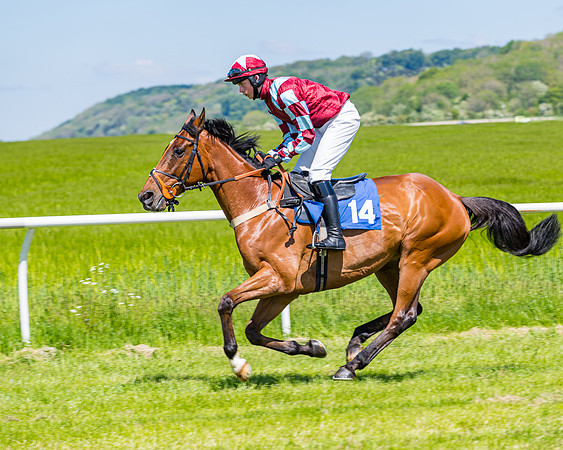 Race 1 - ORIENTAL CLUB OWNER-TRAINER CONDITIONS (47 of 144)