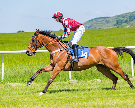 Race 1 - ORIENTAL CLUB OWNER-TRAINER CONDITIONS (48 of 144)
