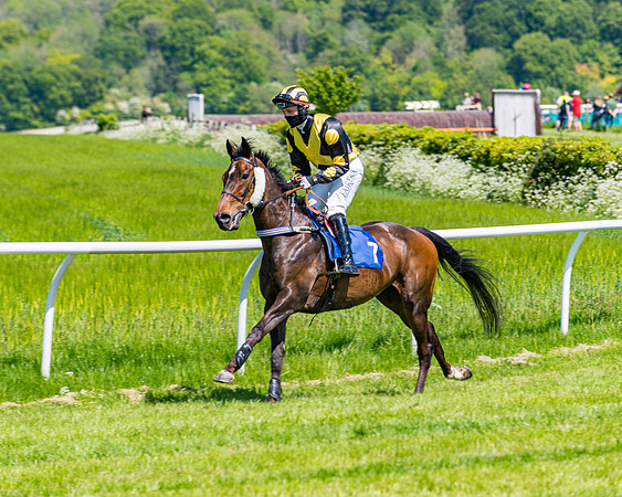 Race 1 - ORIENTAL CLUB OWNER-TRAINER CONDITIONS (49 of 144)