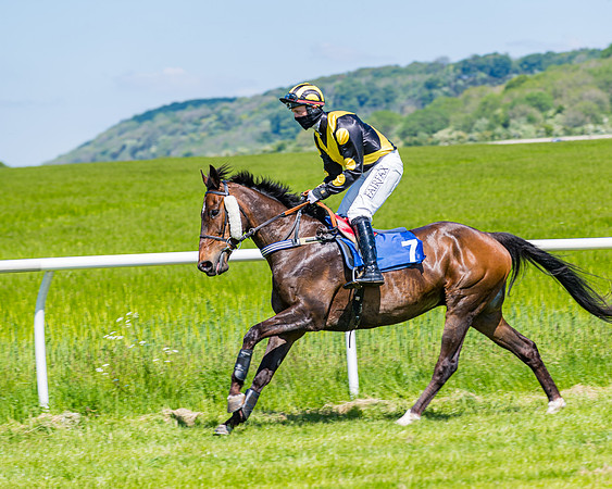Race 1 - ORIENTAL CLUB OWNER-TRAINER CONDITIONS (50 of 144)