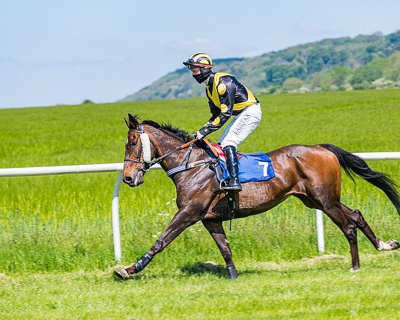 Race 1 - ORIENTAL CLUB OWNER-TRAINER CONDITIONS (51 of 144)