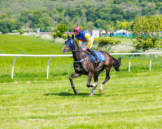 Race 1 - ORIENTAL CLUB OWNER-TRAINER CONDITIONS (52 of 144)