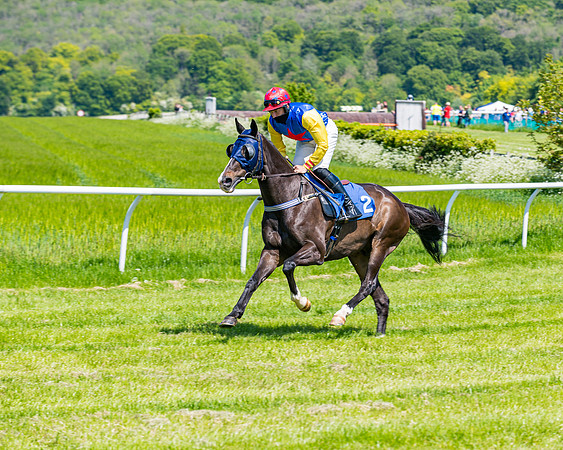 Race 1 - ORIENTAL CLUB OWNER-TRAINER CONDITIONS (53 of 144)