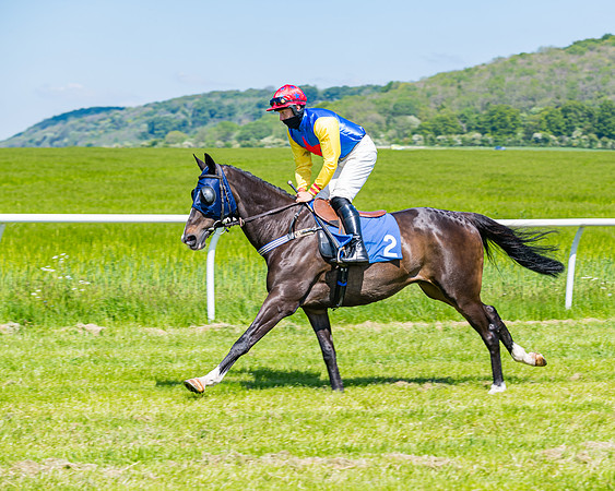Race 1 - ORIENTAL CLUB OWNER-TRAINER CONDITIONS (54 of 144)