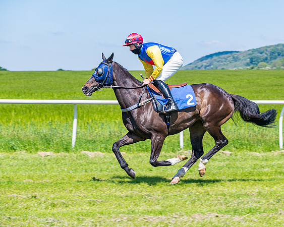 Race 1 - ORIENTAL CLUB OWNER-TRAINER CONDITIONS (55 of 144)