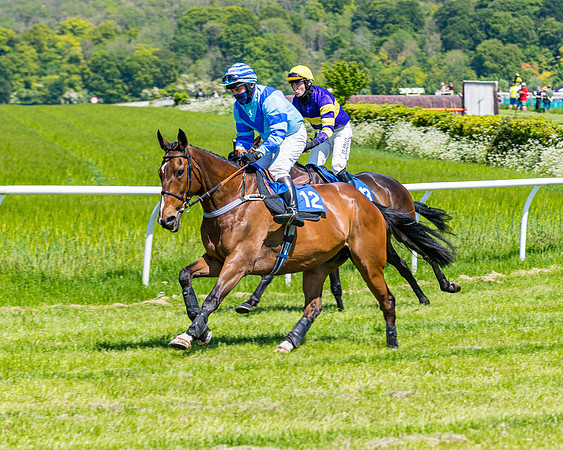 Race 1 - ORIENTAL CLUB OWNER-TRAINER CONDITIONS (56 of 144)