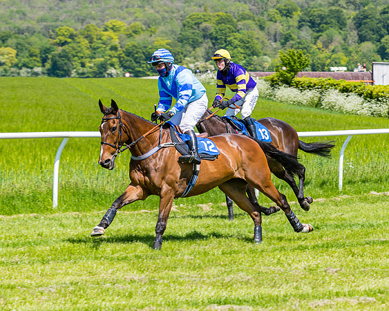 Race 1 - ORIENTAL CLUB OWNER-TRAINER CONDITIONS (57 of 144)