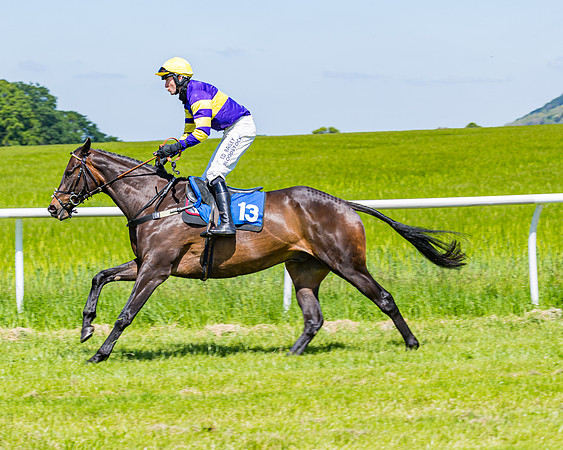Race 1 - ORIENTAL CLUB OWNER-TRAINER CONDITIONS (60 of 144)