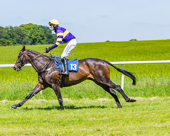 Race 1 - ORIENTAL CLUB OWNER-TRAINER CONDITIONS (61 of 144)