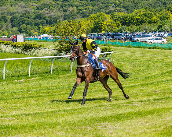 Race 1 - ORIENTAL CLUB OWNER-TRAINER CONDITIONS (65 of 144)
