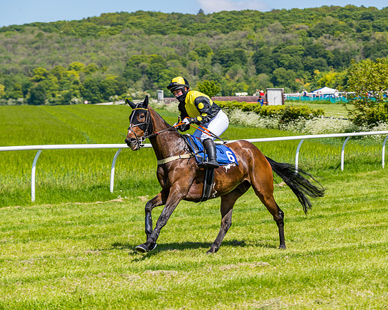 Race 1 - ORIENTAL CLUB OWNER-TRAINER CONDITIONS (66 of 144)