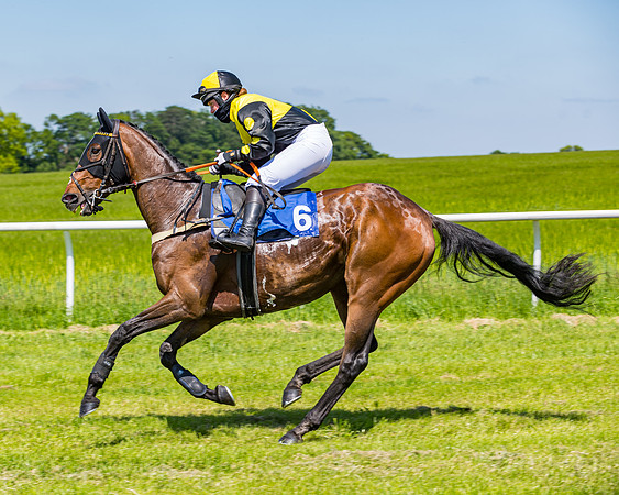 Race 1 - ORIENTAL CLUB OWNER-TRAINER CONDITIONS (68 of 144)