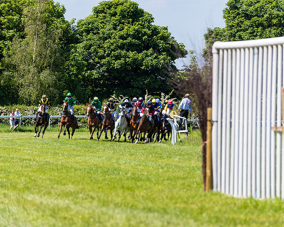 Race 1 - ORIENTAL CLUB OWNER-TRAINER CONDITIONS (69 of 144)