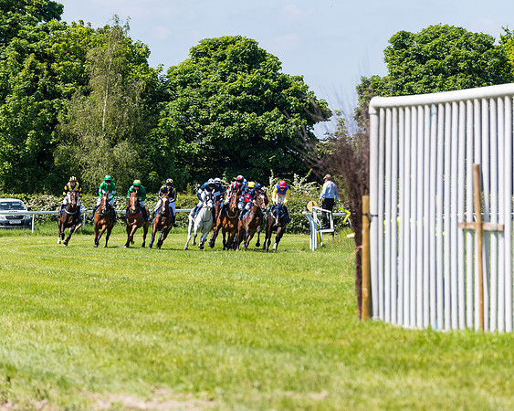 Race 1 - ORIENTAL CLUB OWNER-TRAINER CONDITIONS (70 of 144)