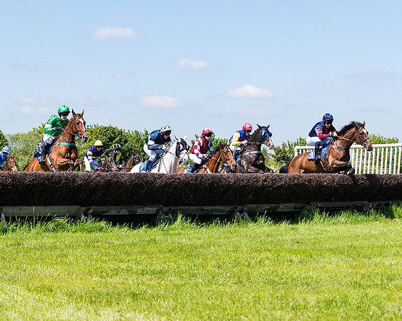 Race 1 - ORIENTAL CLUB OWNER-TRAINER CONDITIONS (71 of 144)