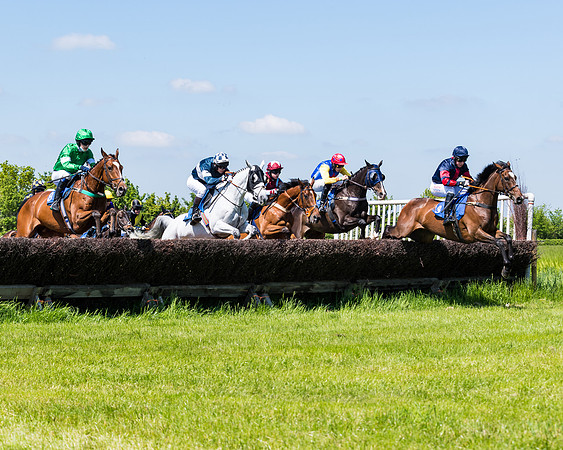 Race 1 - ORIENTAL CLUB OWNER-TRAINER CONDITIONS (73 of 144)