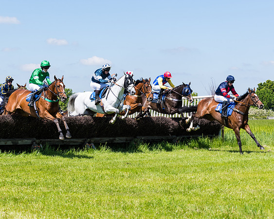 Race 1 - ORIENTAL CLUB OWNER-TRAINER CONDITIONS (75 of 144)