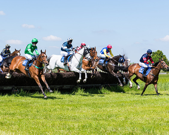 Race 1 - ORIENTAL CLUB OWNER-TRAINER CONDITIONS (76 of 144)