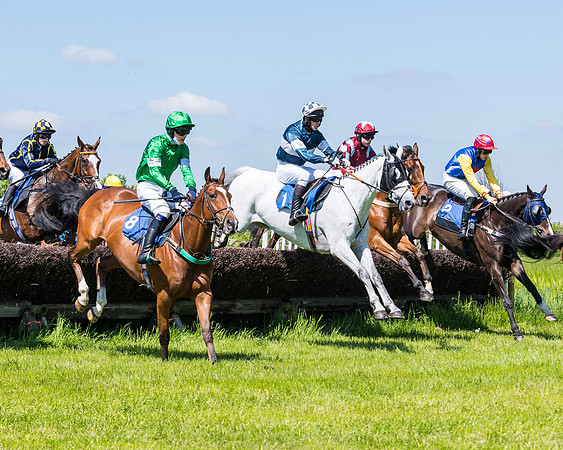 Race 1 - ORIENTAL CLUB OWNER-TRAINER CONDITIONS (77 of 144)
