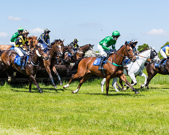 Race 1 - ORIENTAL CLUB OWNER-TRAINER CONDITIONS (79 of 144)