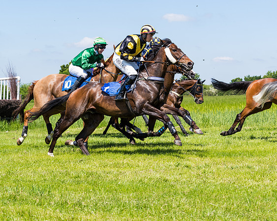 Race 1 - ORIENTAL CLUB OWNER-TRAINER CONDITIONS (80 of 144)