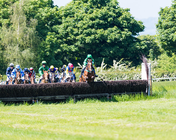 Race 1 - ORIENTAL CLUB OWNER-TRAINER CONDITIONS (83 of 144)