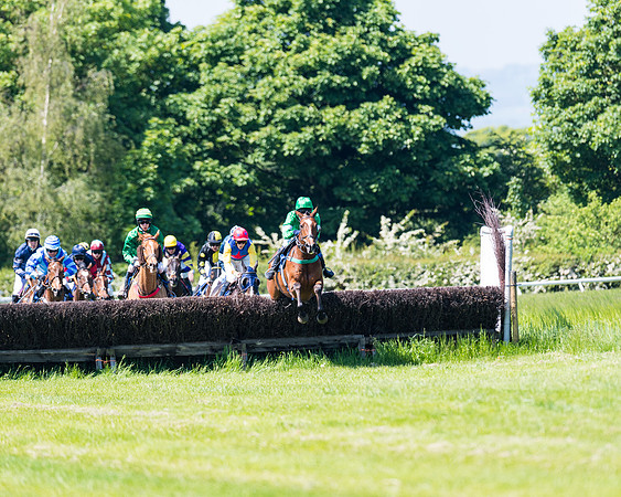 Race 1 - ORIENTAL CLUB OWNER-TRAINER CONDITIONS (84 of 144)
