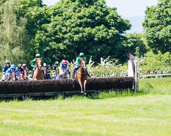 Race 1 - ORIENTAL CLUB OWNER-TRAINER CONDITIONS (85 of 144)