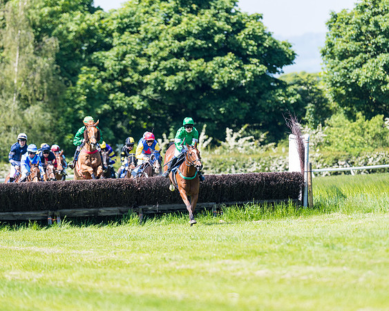 Race 1 - ORIENTAL CLUB OWNER-TRAINER CONDITIONS (86 of 144)