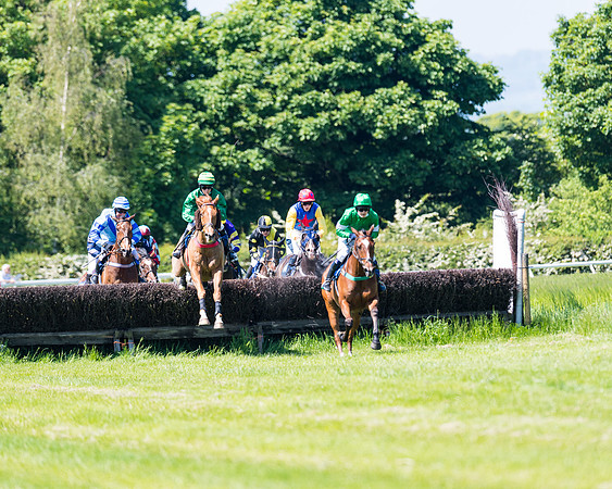 Race 1 - ORIENTAL CLUB OWNER-TRAINER CONDITIONS (88 of 144)